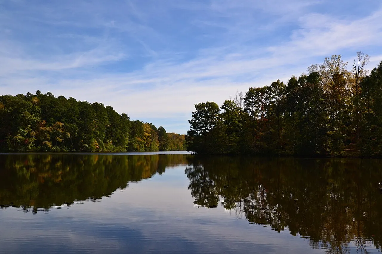 Savage Gulf State Natural Area