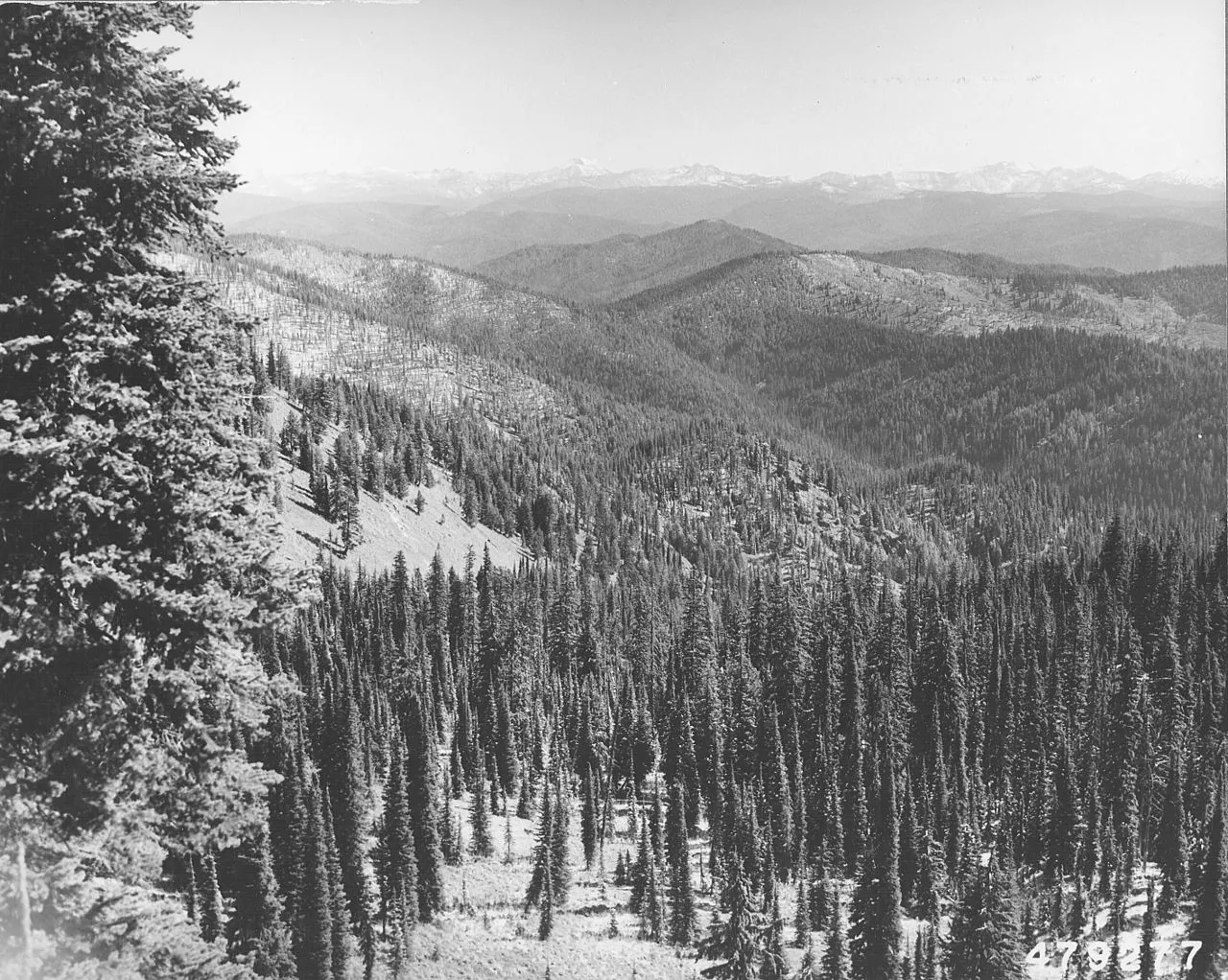 White Sands Campground
