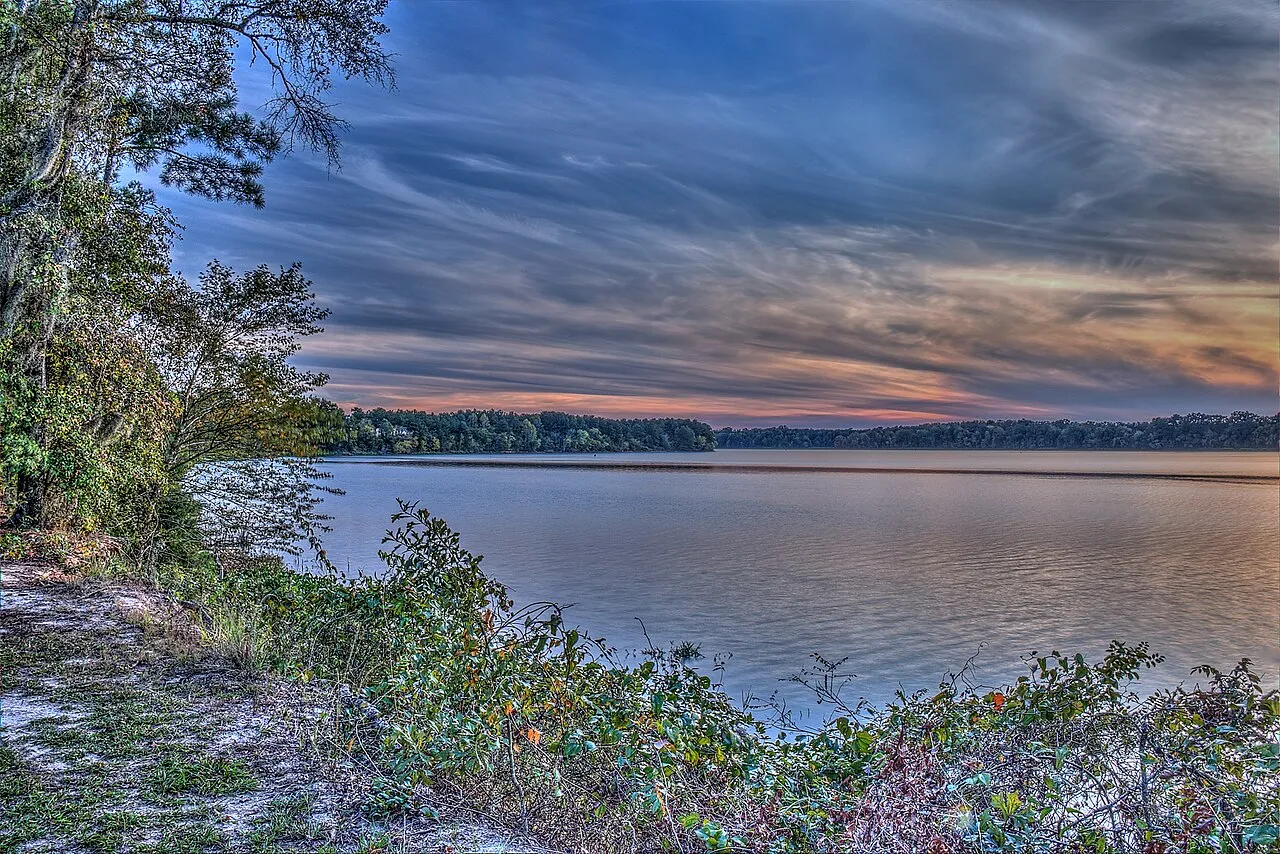 Bluff Creek