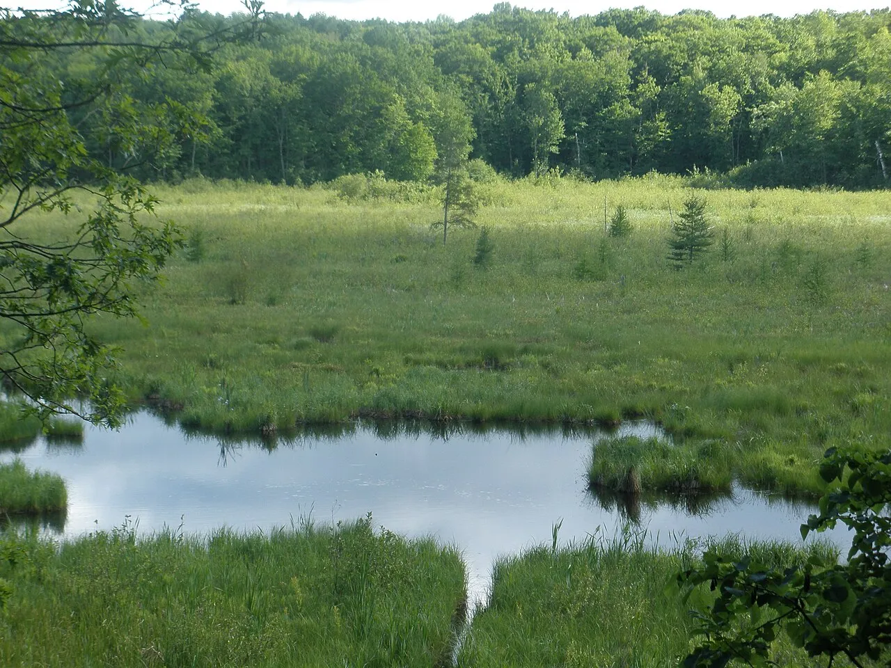 Straight Lake State Park