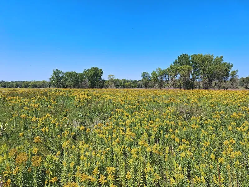 Meadowbrook Area Campground