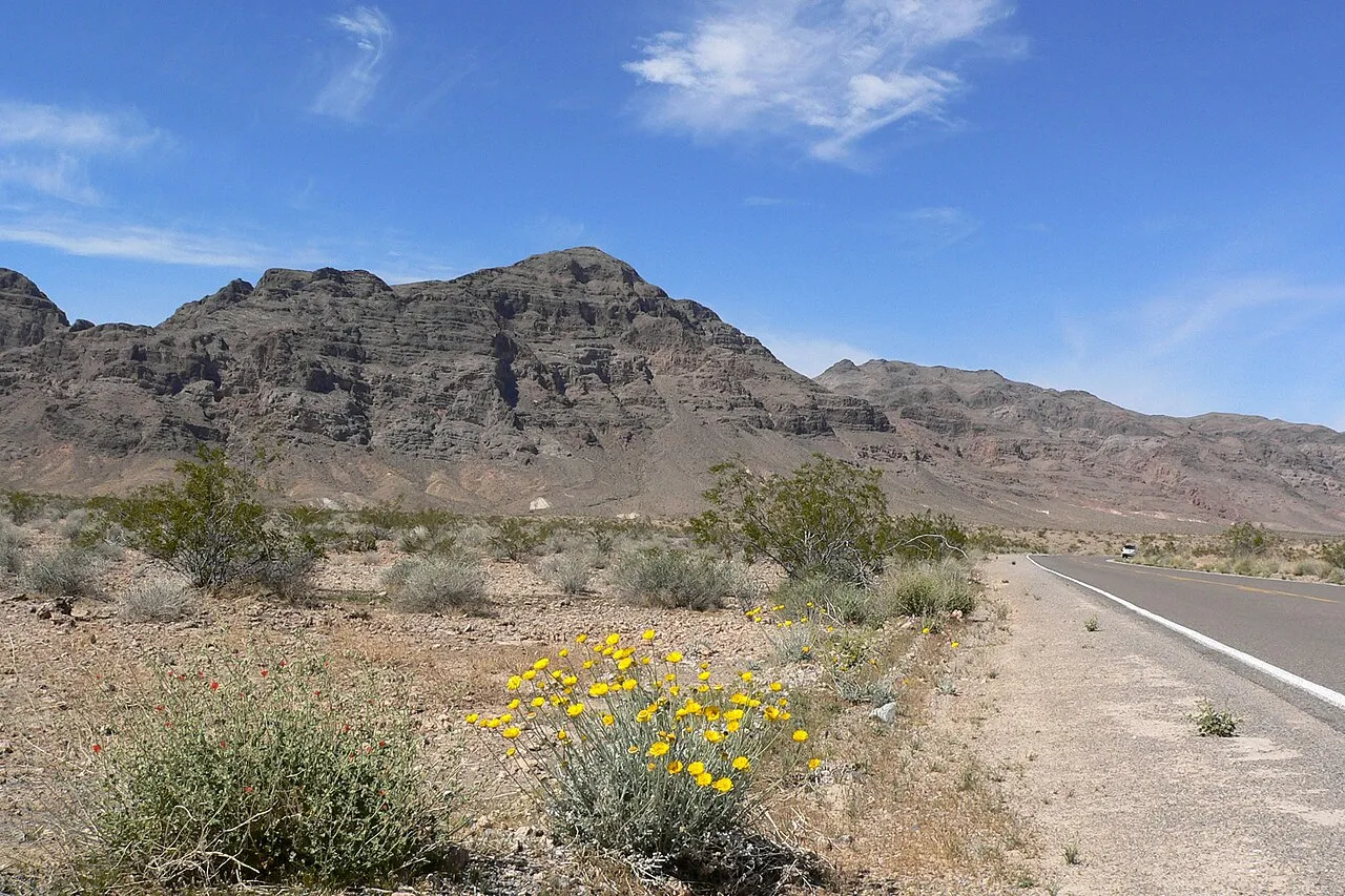 Cottonwood Cove Rv Park