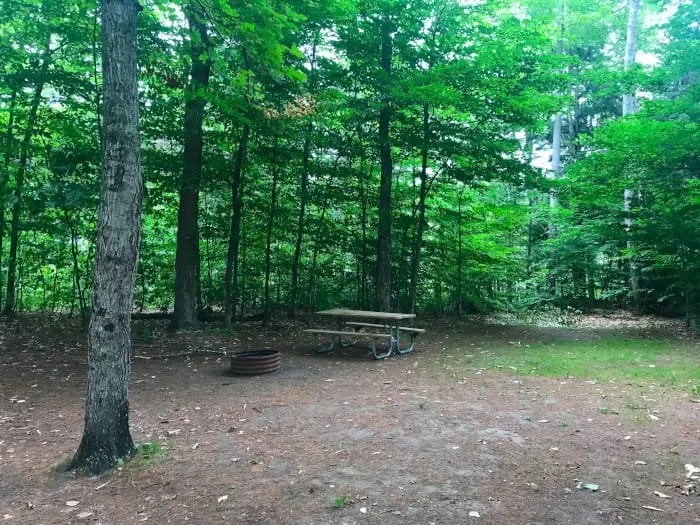 South Gemini Lake State Forest Campground