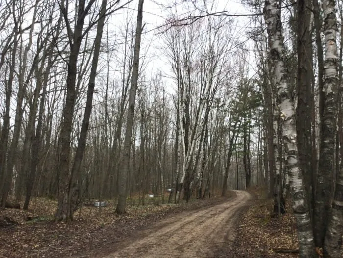 Sunrise Lake State Forest Campground