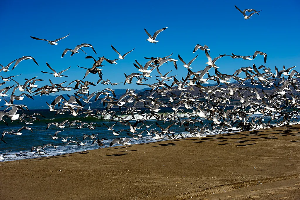 Mcgrath State Beach Campground