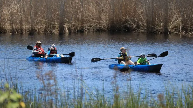 Grayton Beach State Park Campground 3
