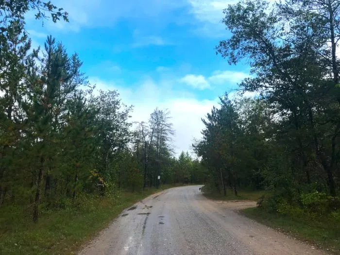 Manistee River Bridge State Forest Campground