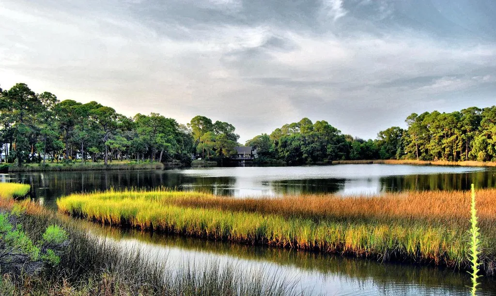 Heron Lake