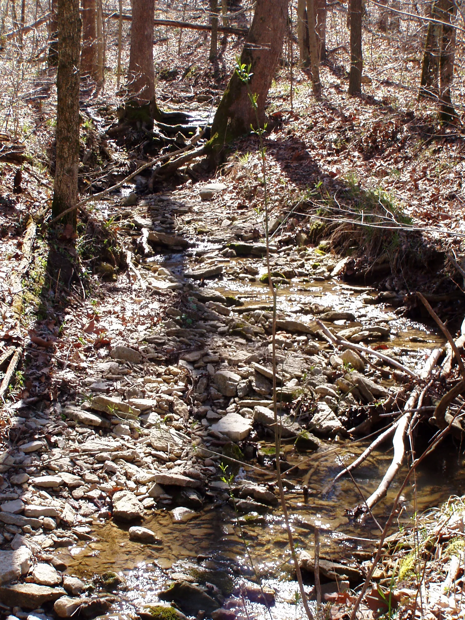Versailles State Park