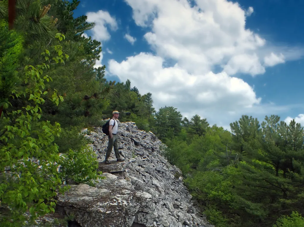 Tuscarora State Forest