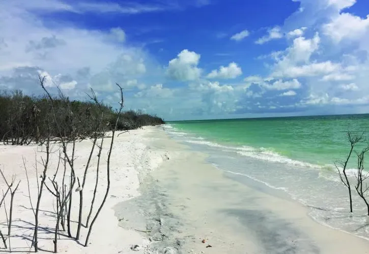 Caladesi Island State Park Campground 2