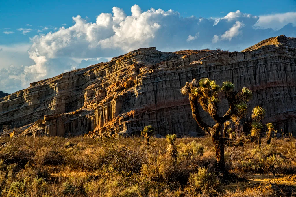 Ricardo Campground