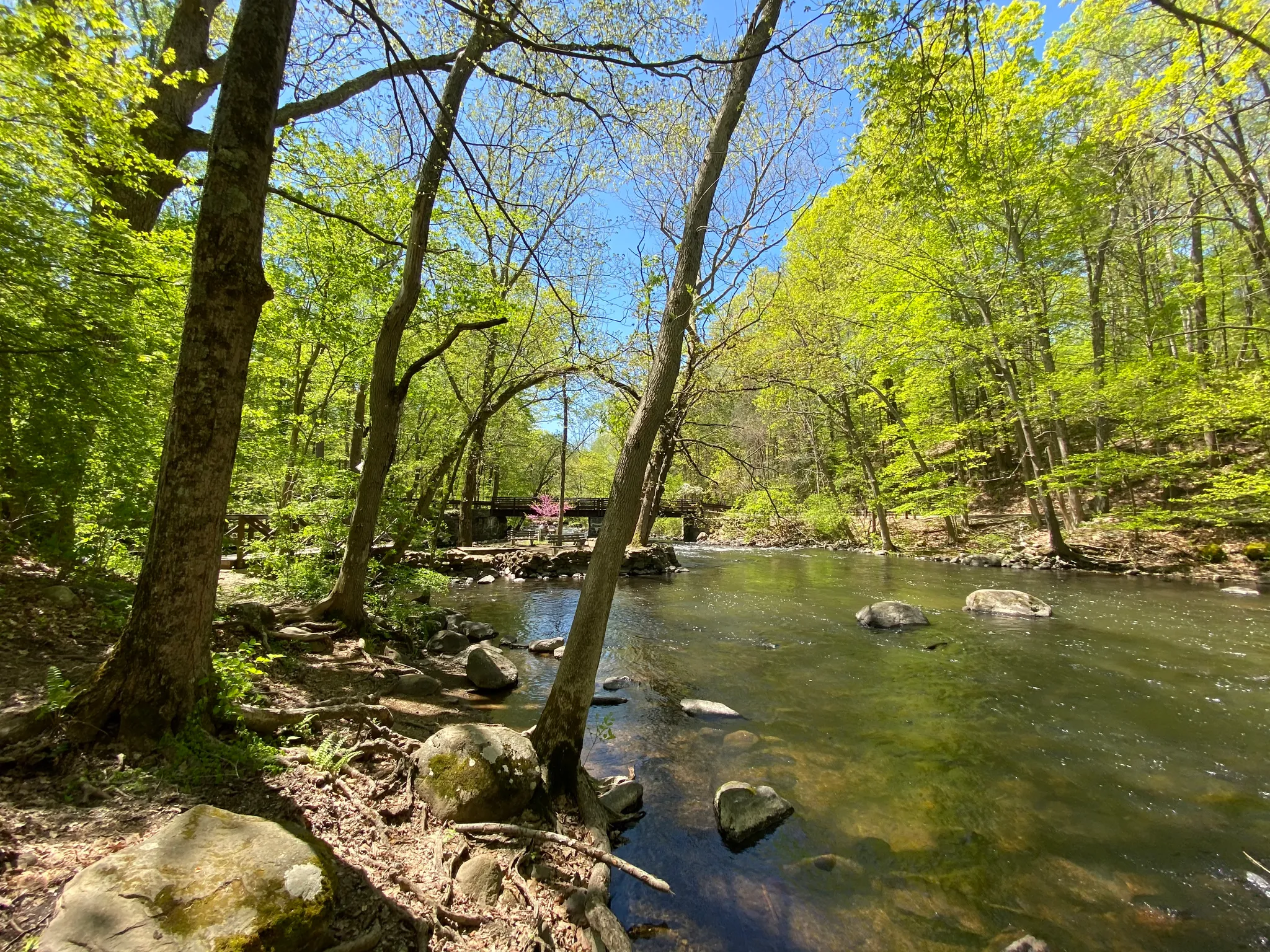 Stephens Campground