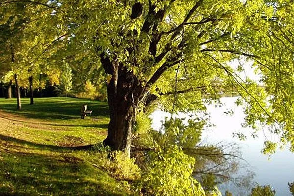 Prairie Lake Campground