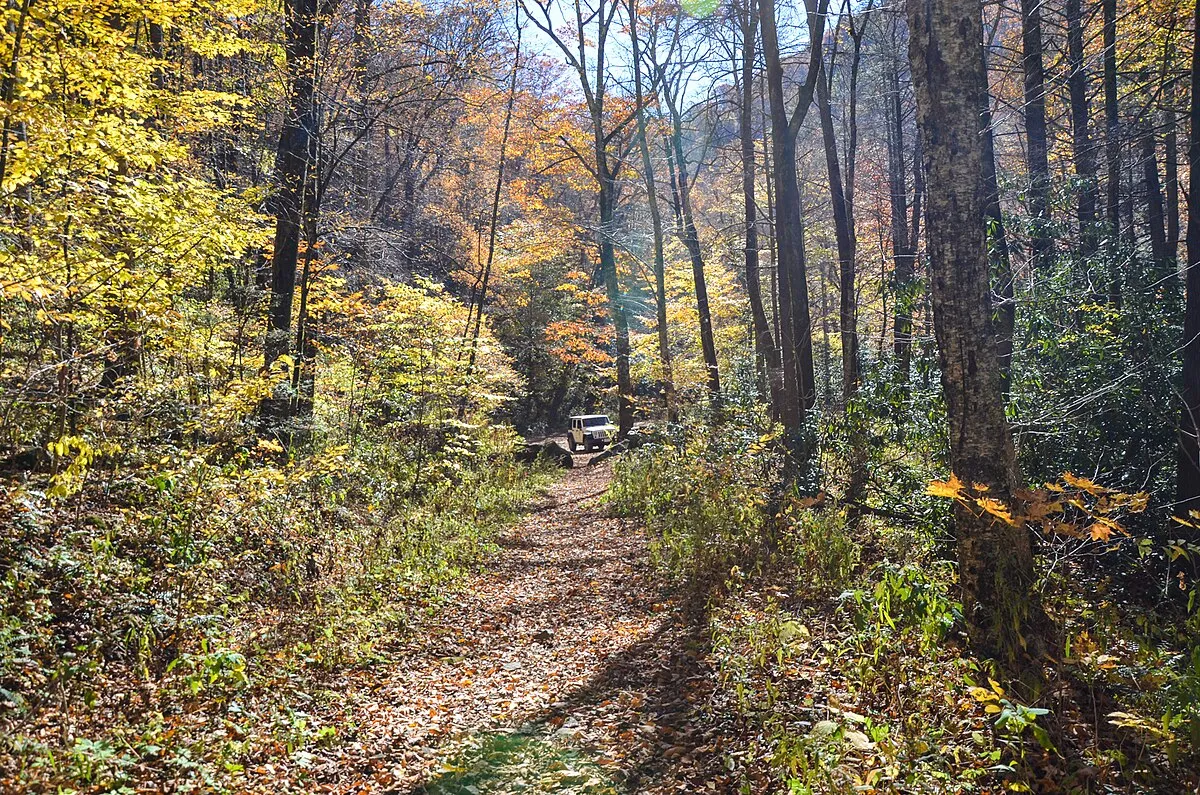 Tallulah River Campground