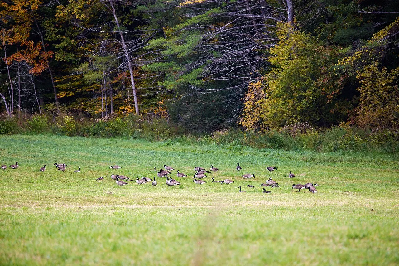 Quechee State Park