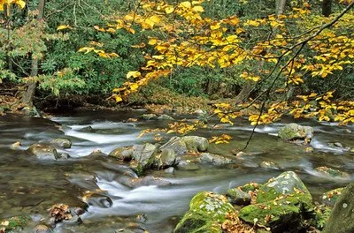 Moccasin Creek State Park
