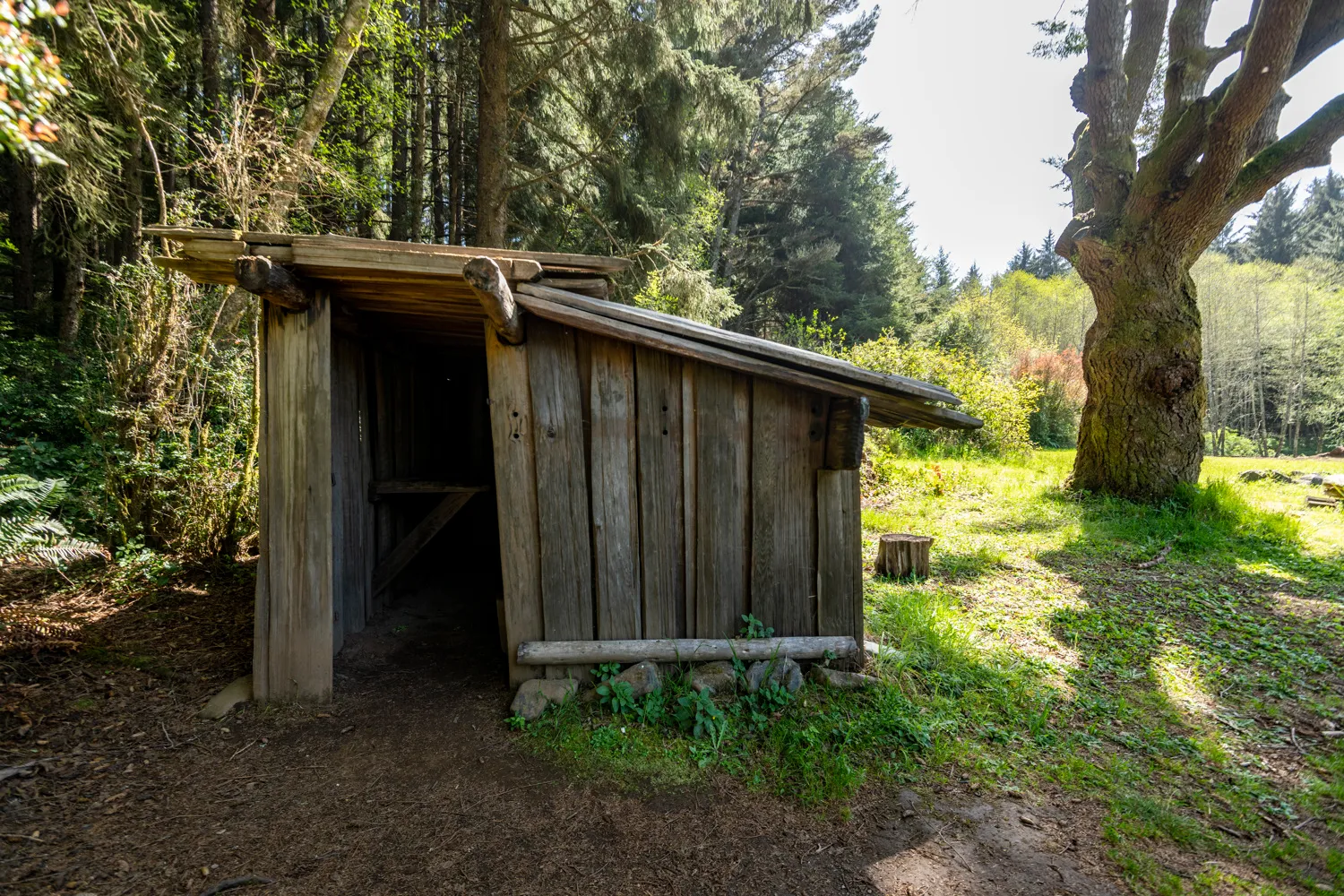 Abalone Campground