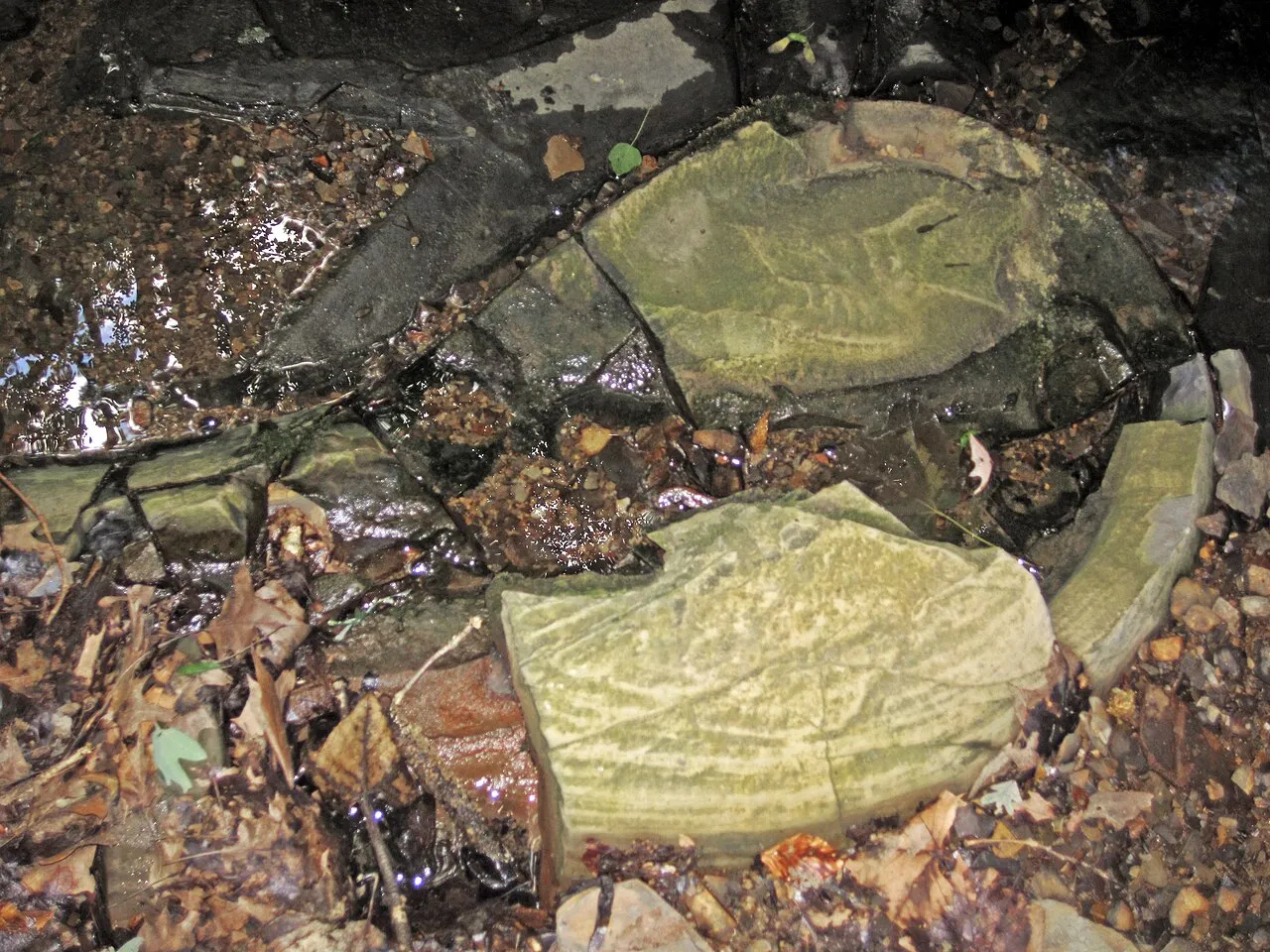 Delaware Campground Sites 101 - 214