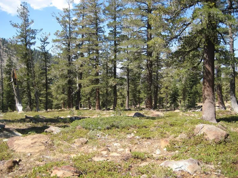 Kangaroo Lake Campground