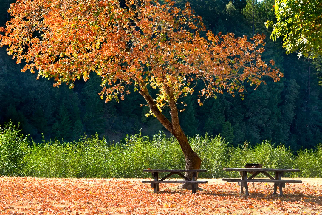 Benbow State Recreation Campground