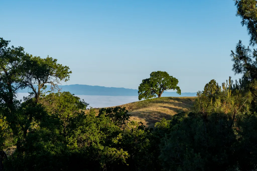 Manzanita Point Hike-In Group Campground