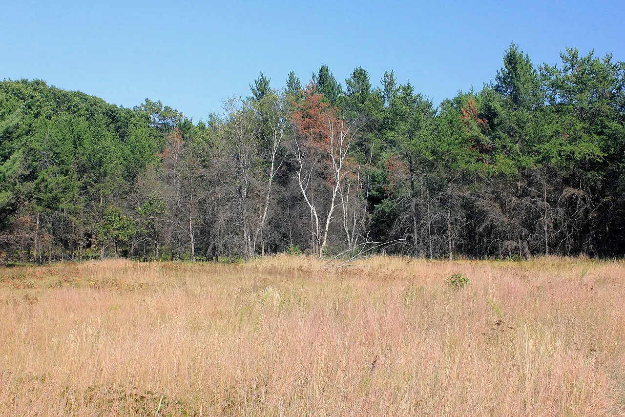 Mill Bluff State Park