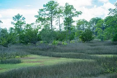 Skidaway Island State Park