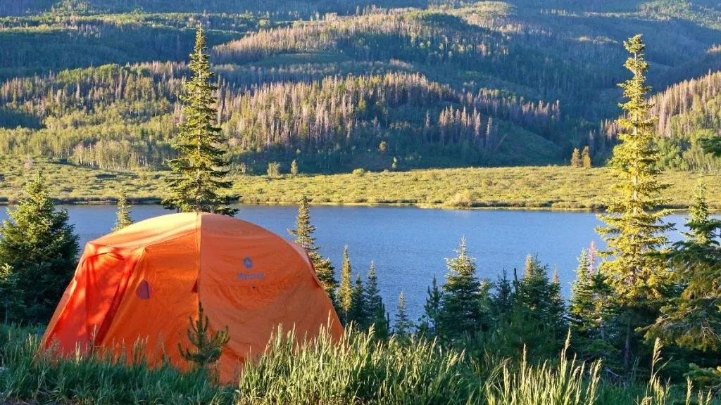 State Forest State Park