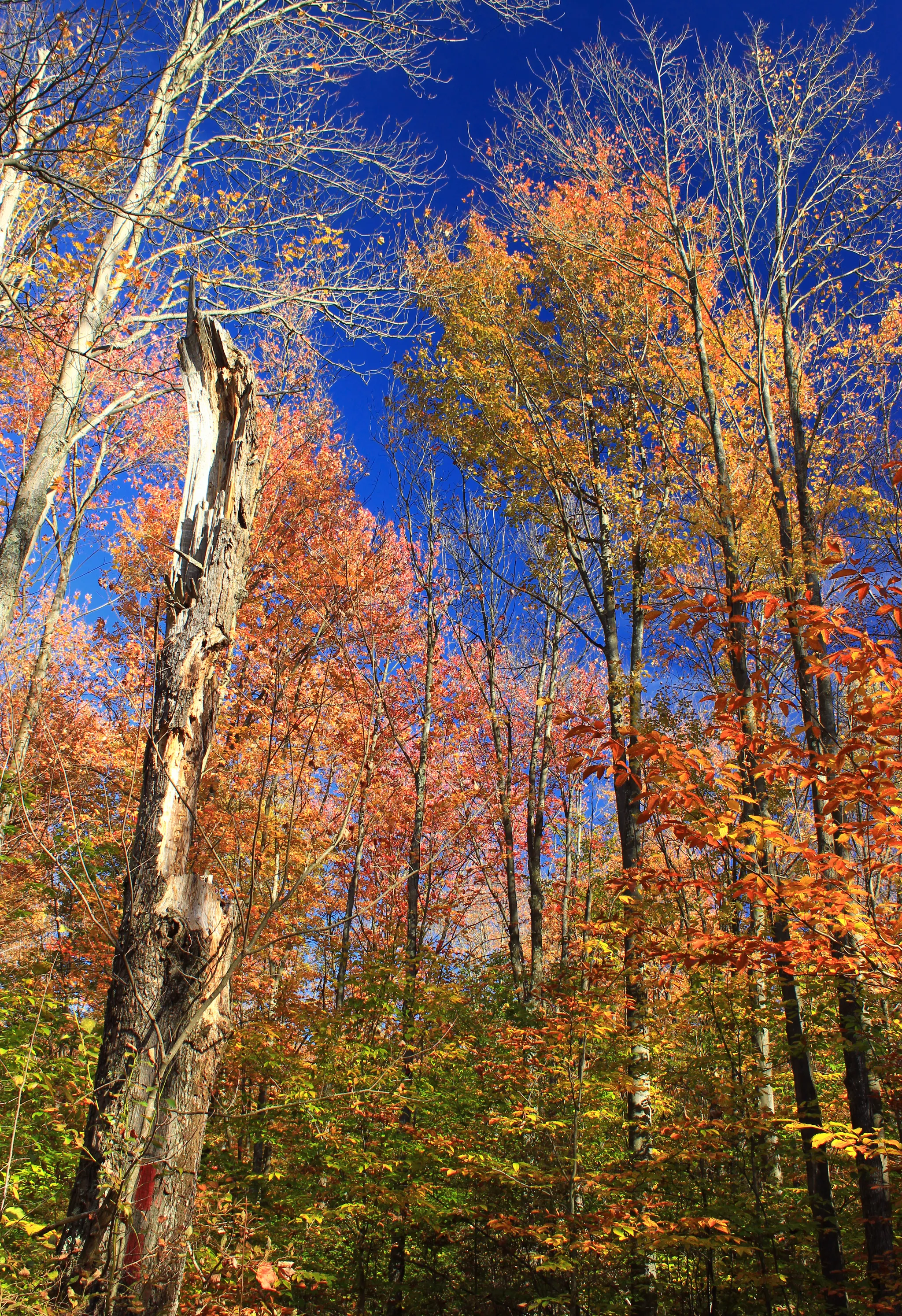 Gouldsboro State Park