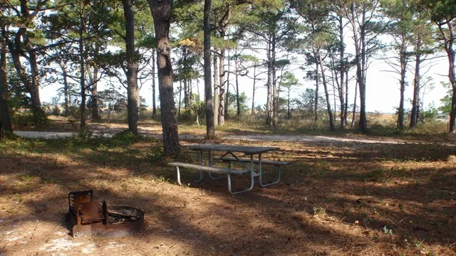 Assateague Island National Seashore Campground