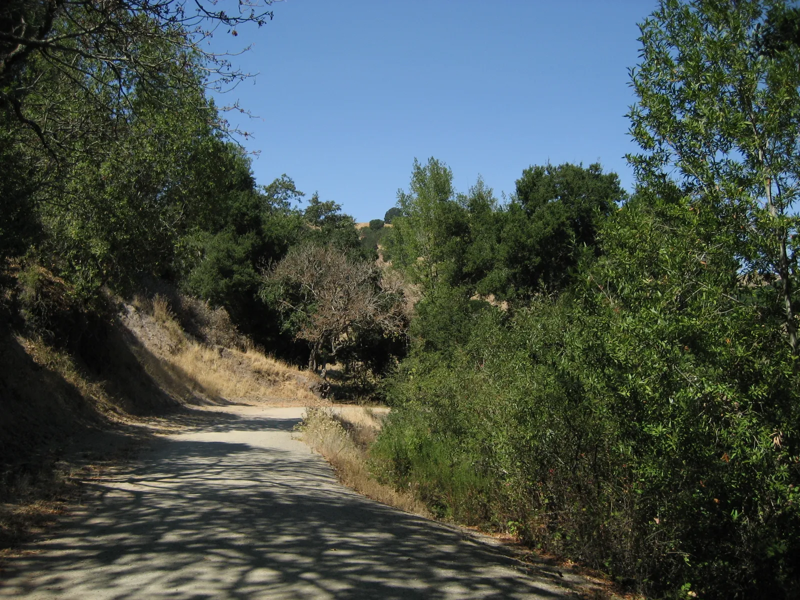 Briones Regional Park
