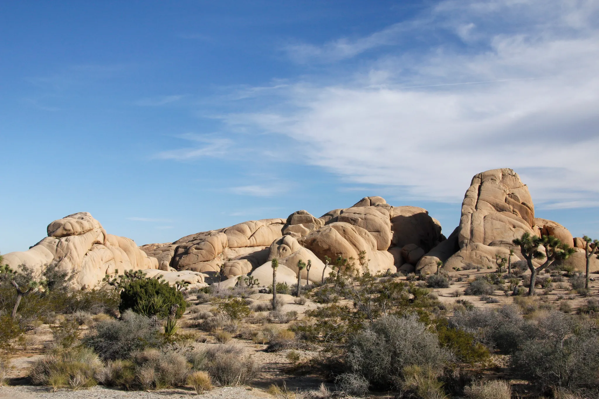 Jumbo Rocks Campground