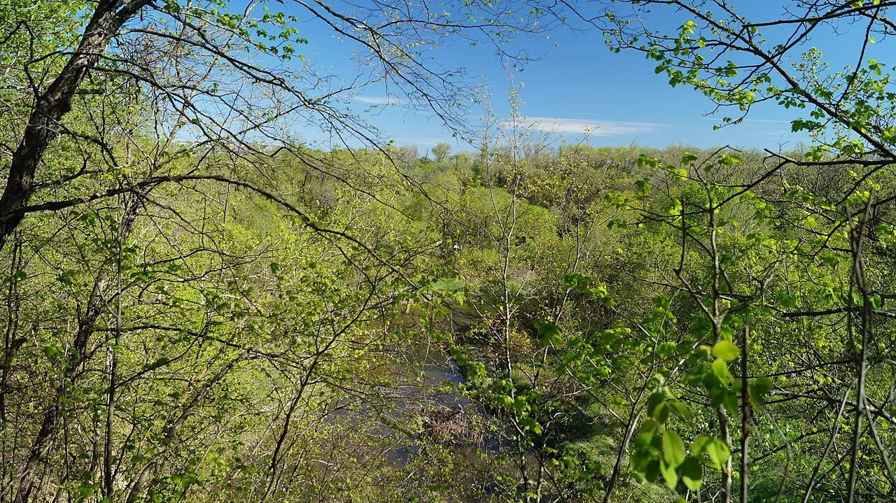 Turtle River Campground