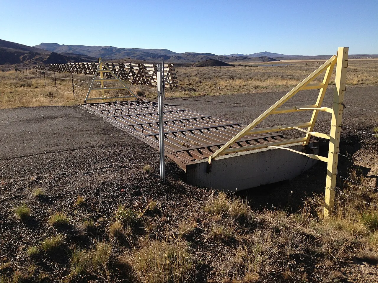 Wild Horse Campground