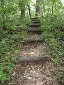 Campground 1