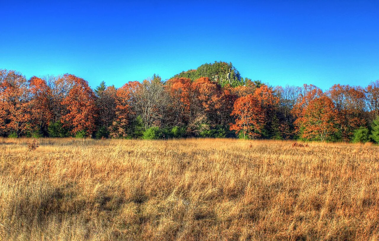 Roche-A-Cri State Park