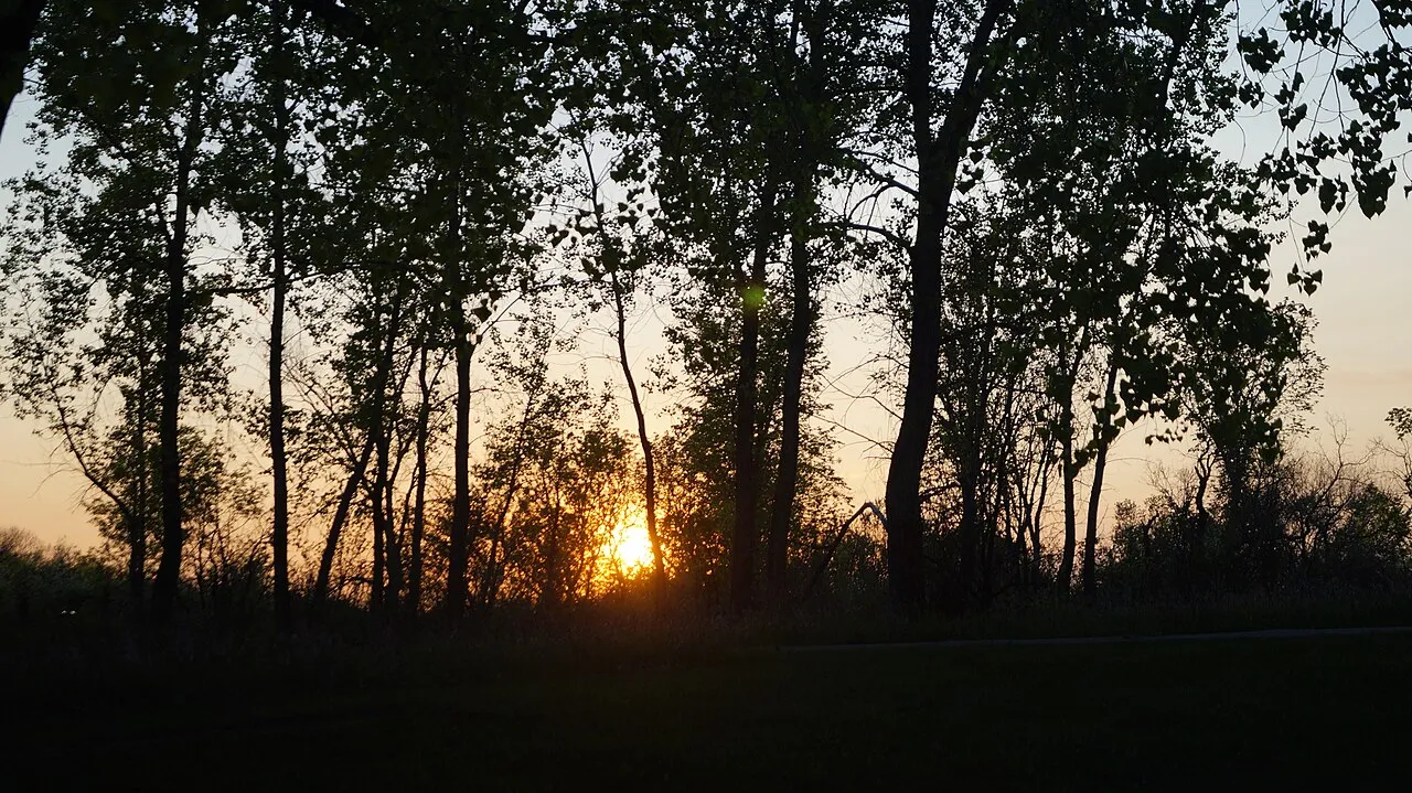 Turtle River Campground