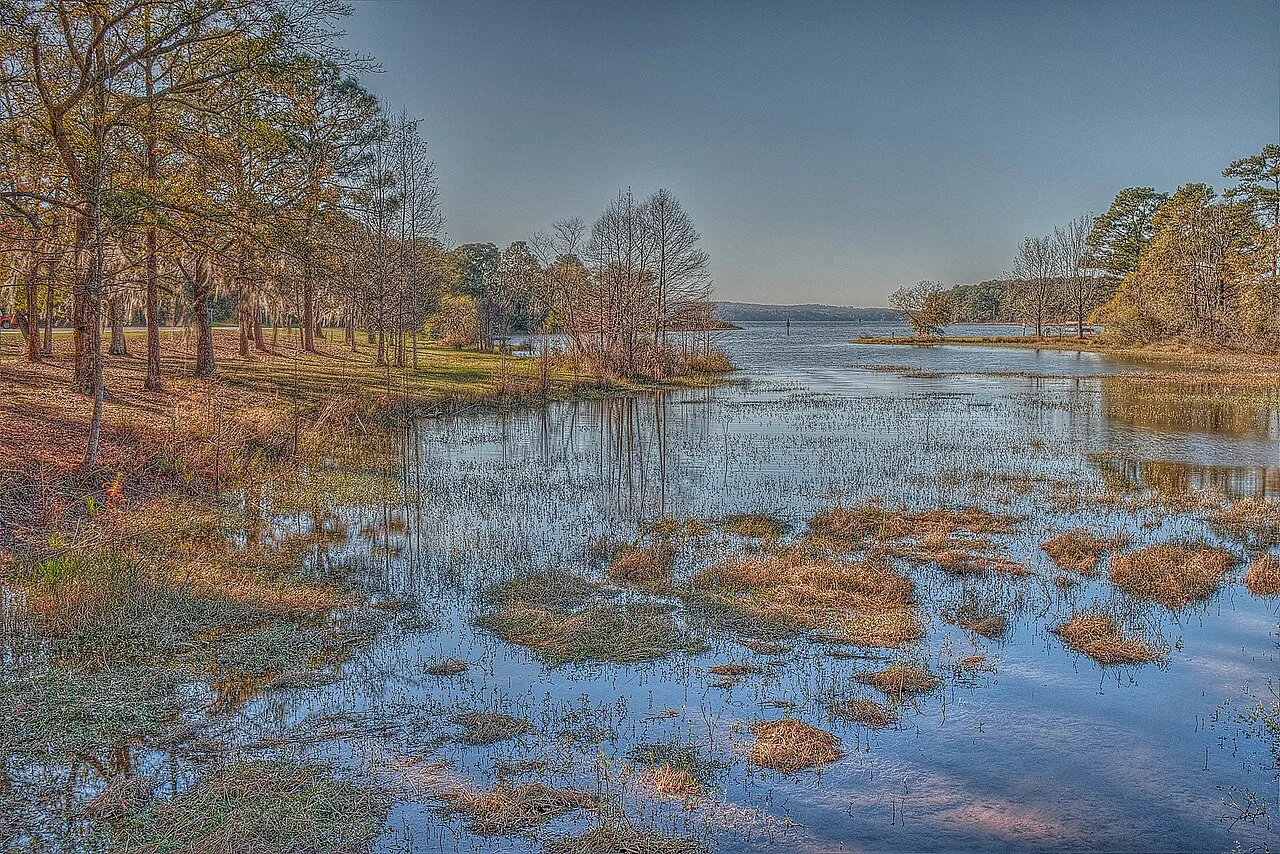 Bluff Creek