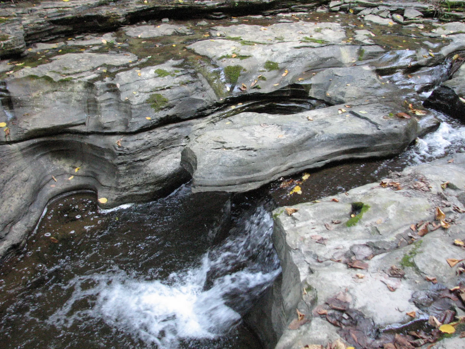 Watkins Glen State Park