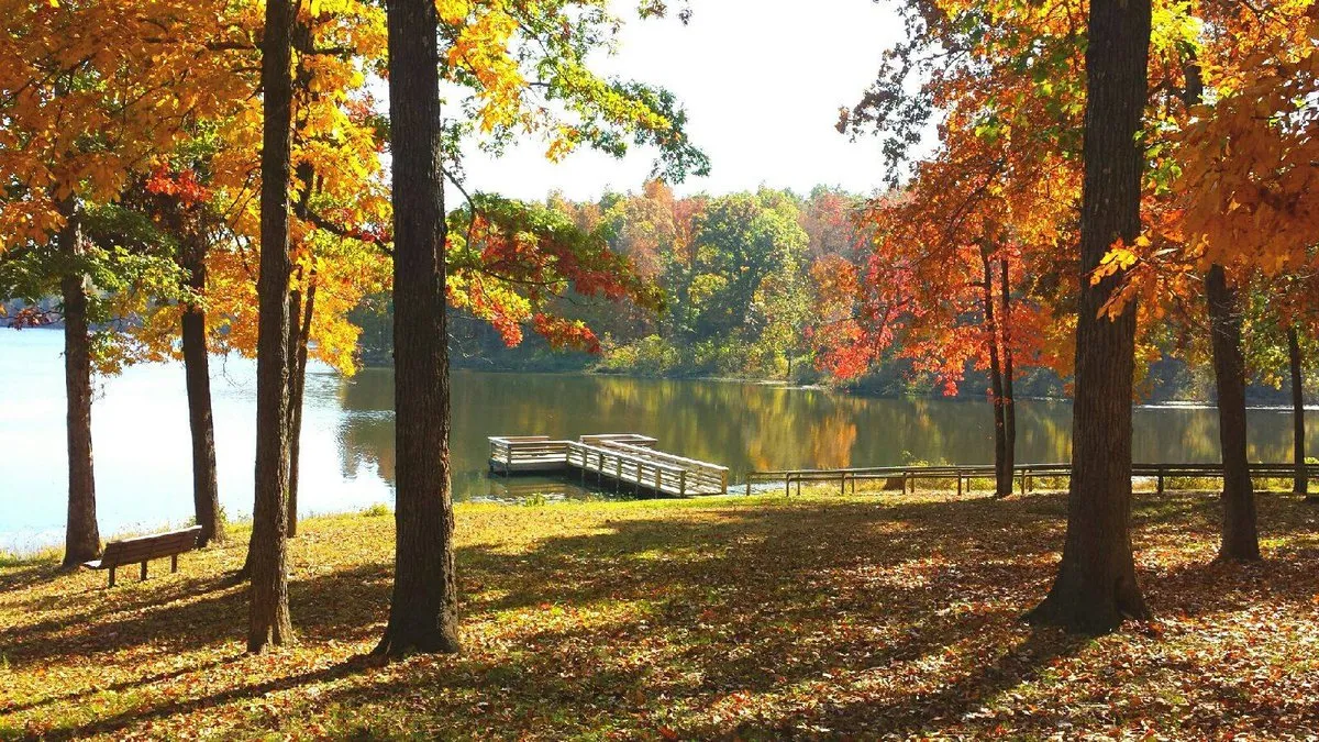 Fourche Lake Recreation Area