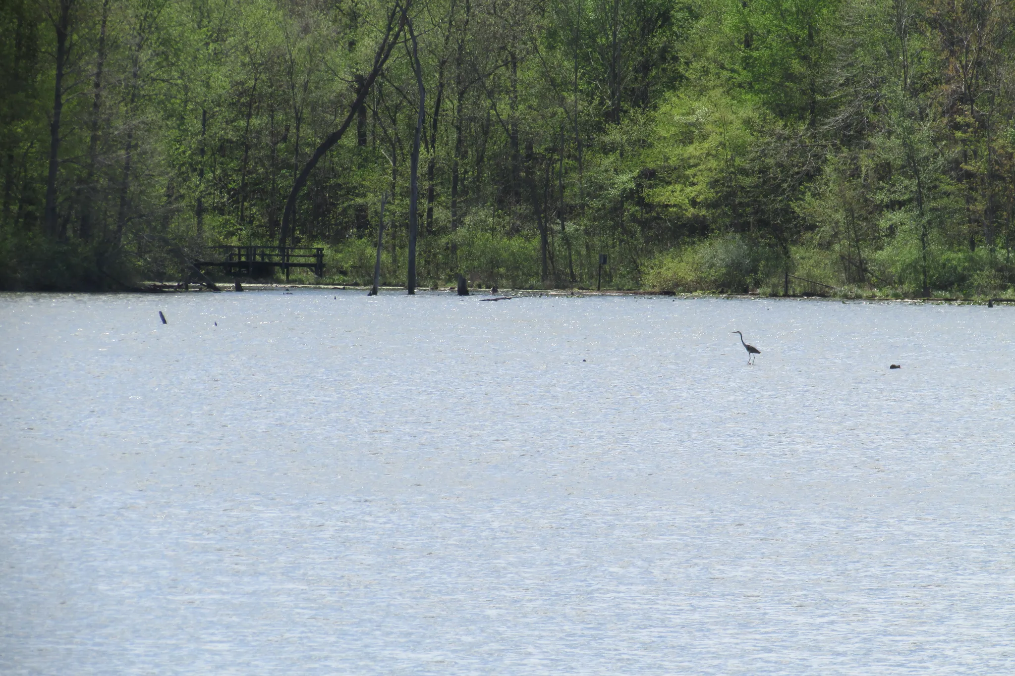 Potato Creek State Park