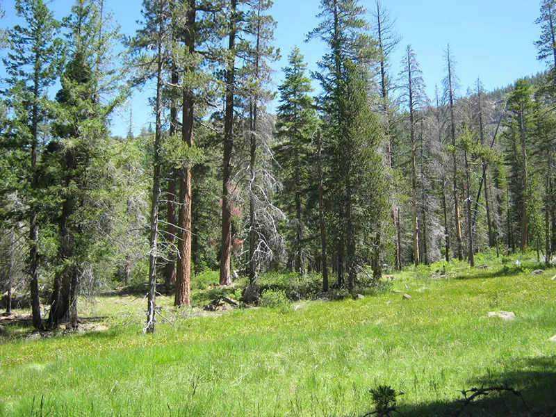 Faucherie Group Campground