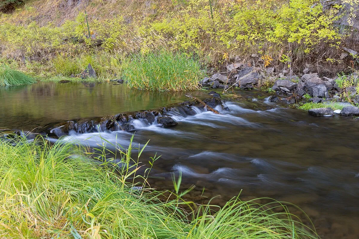 Deerhorn Campground