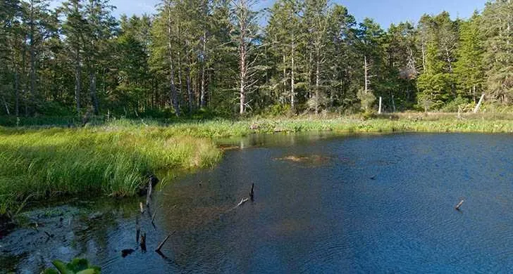 Willamette Mission State Park