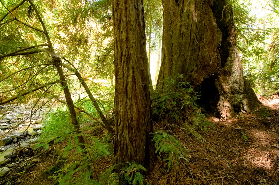 Valley Group Campground