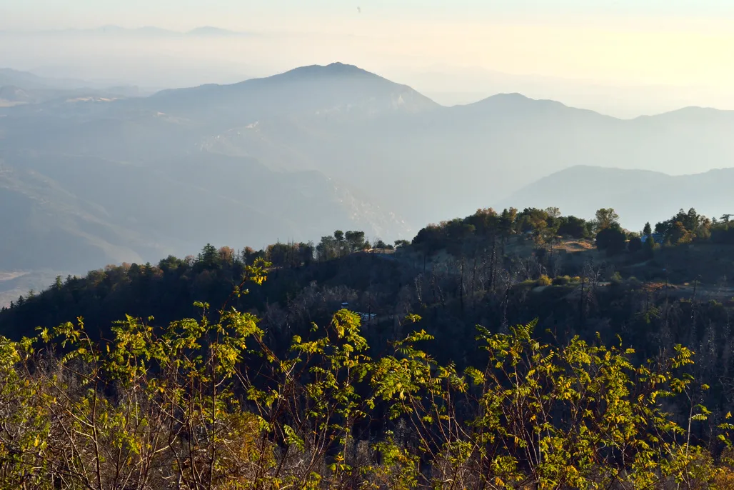Palomar Mountain State Park Campground