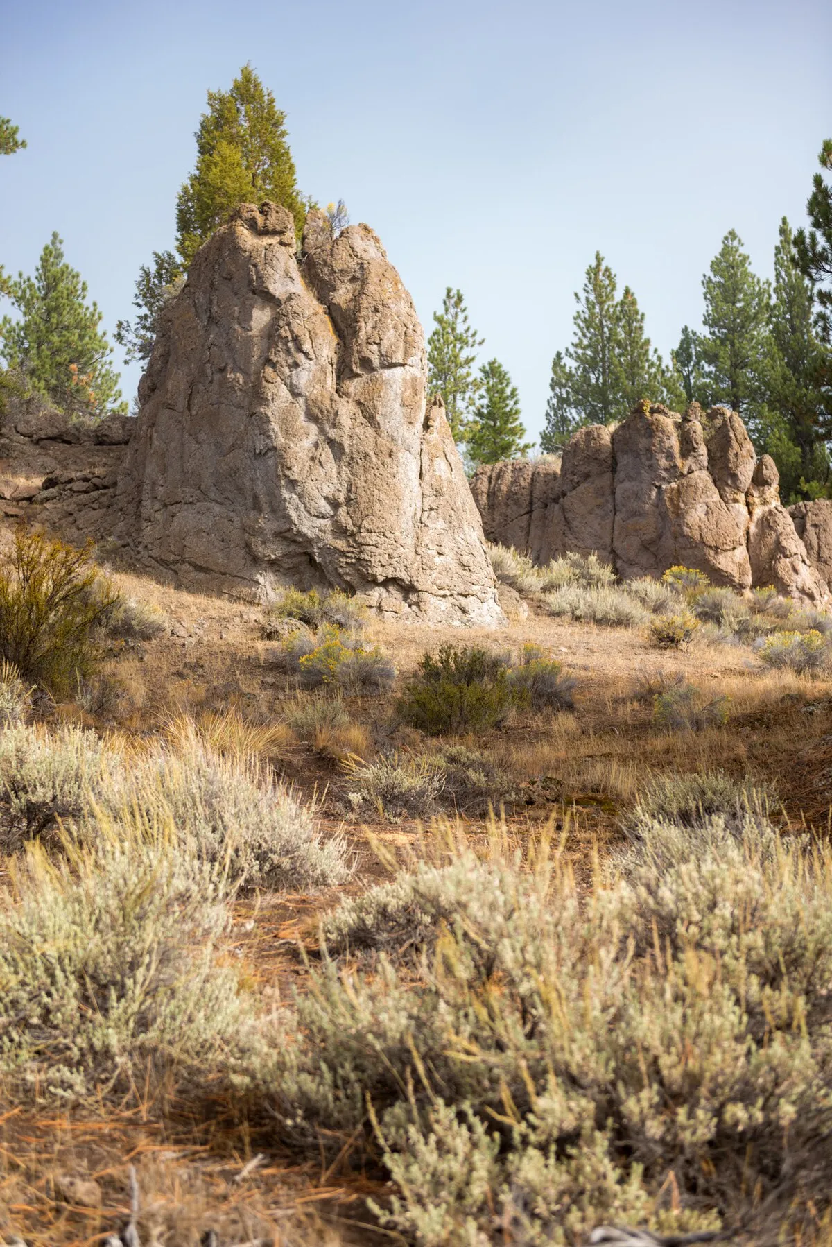 Dairy Point Campground