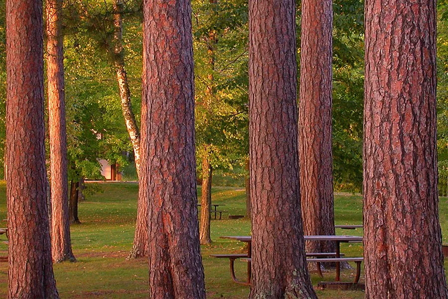 Group Camp