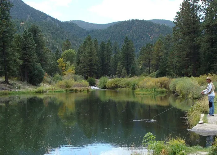 Cimarron Canyon